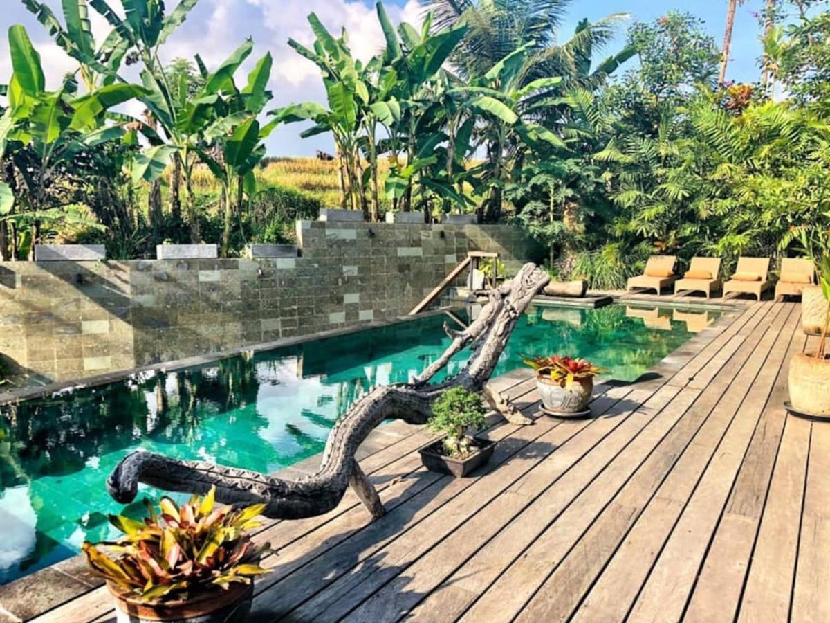 Dragon House - Your Dream House In Bali! أوبود المظهر الخارجي الصورة