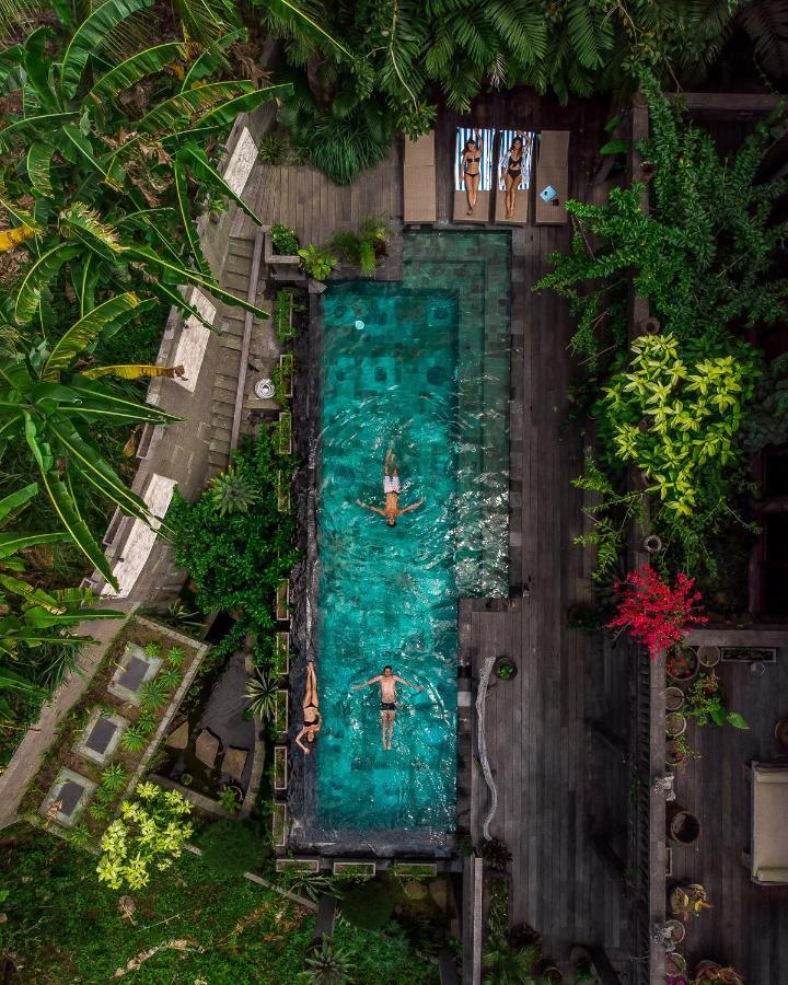 Dragon House - Your Dream House In Bali! أوبود المظهر الخارجي الصورة